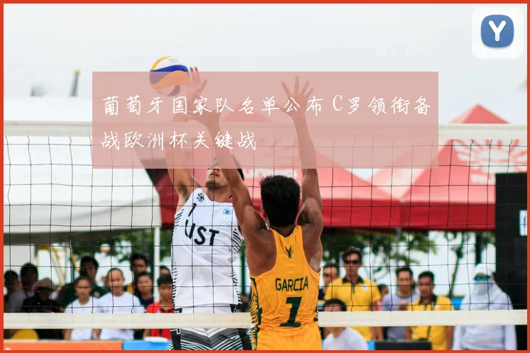 葡萄牙国家队名单公布 C罗领衔备战欧洲杯关键战