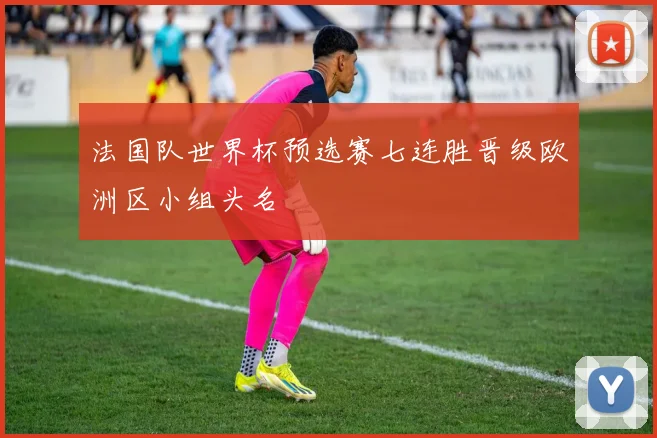 法国队世界杯预选赛七连胜晋级欧洲区小组头名