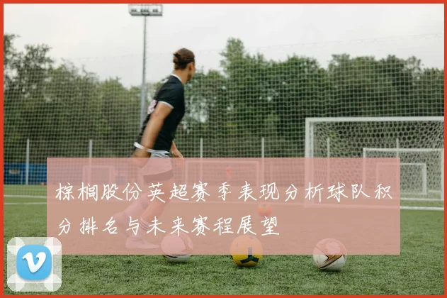 棕榈股份英超赛季表现分析球队积分排名与未来赛程展望