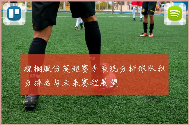 棕榈股份英超赛季表现分析球队积分排名与未来赛程展望