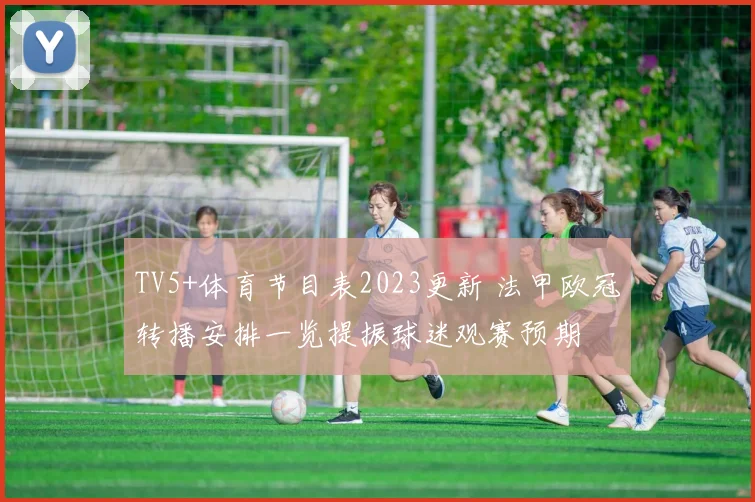 TV5+体育节目表2023更新 法甲欧冠转播安排一览提振球迷观赛预期
