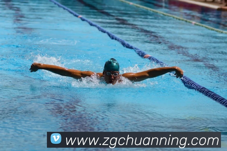 荷兰队98世界杯大名单回顾 群星云集战术打法解析与成绩影响